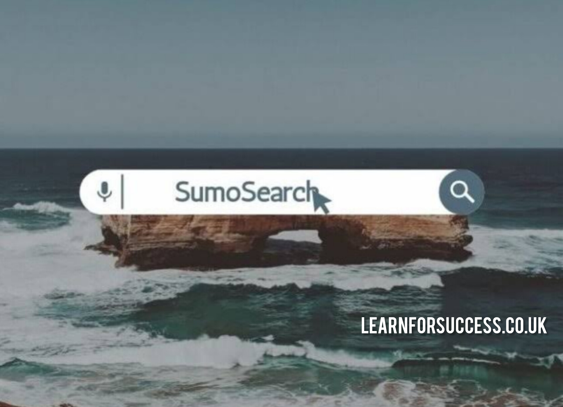 SumoSearch