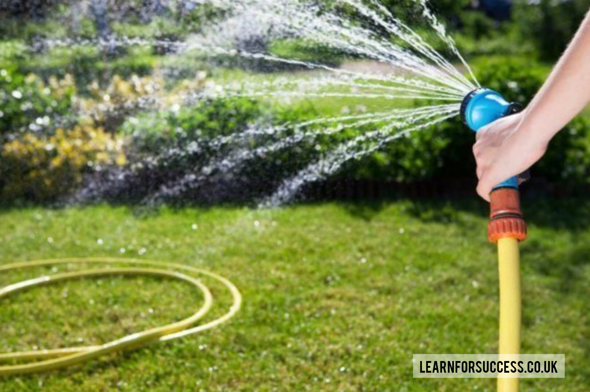 Best Garden Hose Nozzle